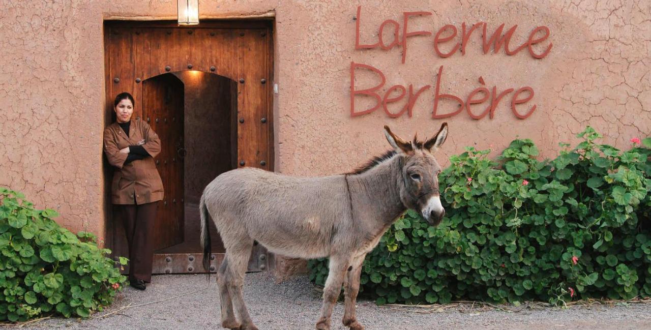 Bed and Breakfast La Ferme Berbere Adult Only El Harkat Esterno foto