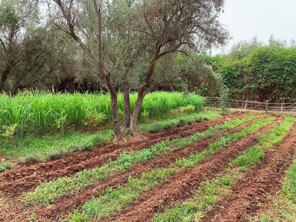Bed and Breakfast La Ferme Berbere Adult Only El Harkat Esterno foto