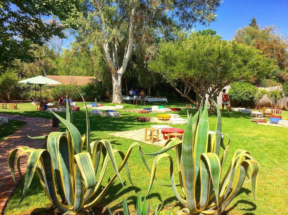 Bed and Breakfast La Ferme Berbere Adult Only El Harkat Esterno foto