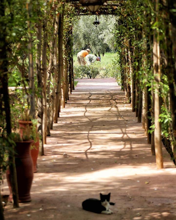 Bed and Breakfast La Ferme Berbere Adult Only El Harkat Esterno foto