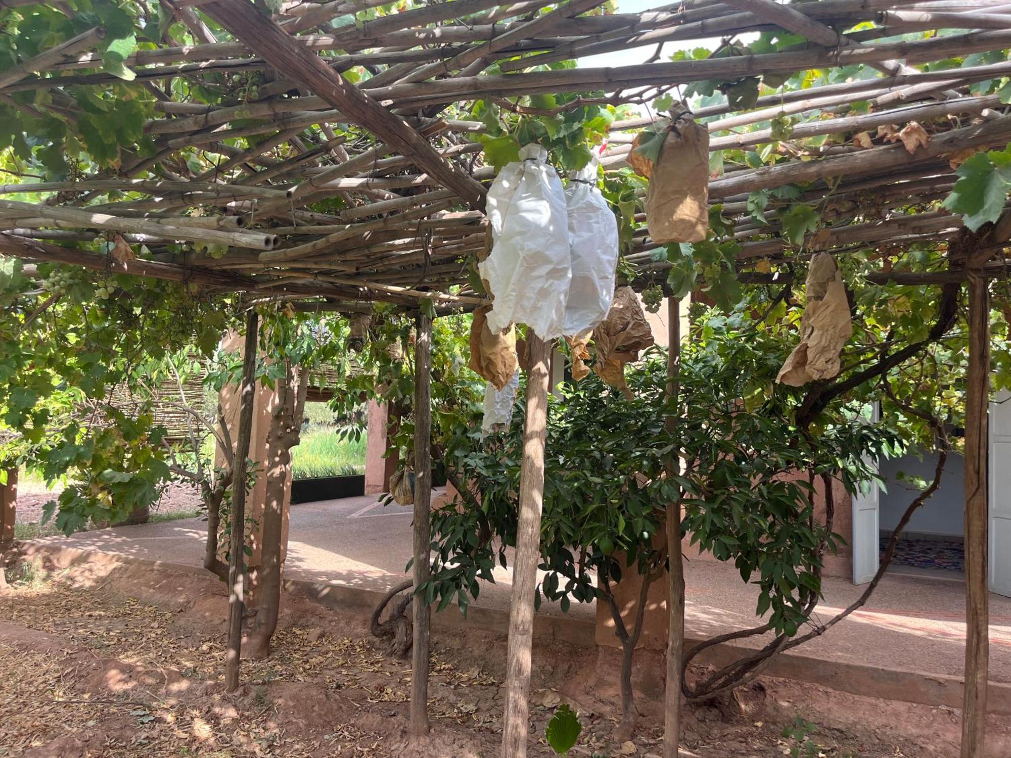 Bed and Breakfast La Ferme Berbere Adult Only El Harkat Esterno foto